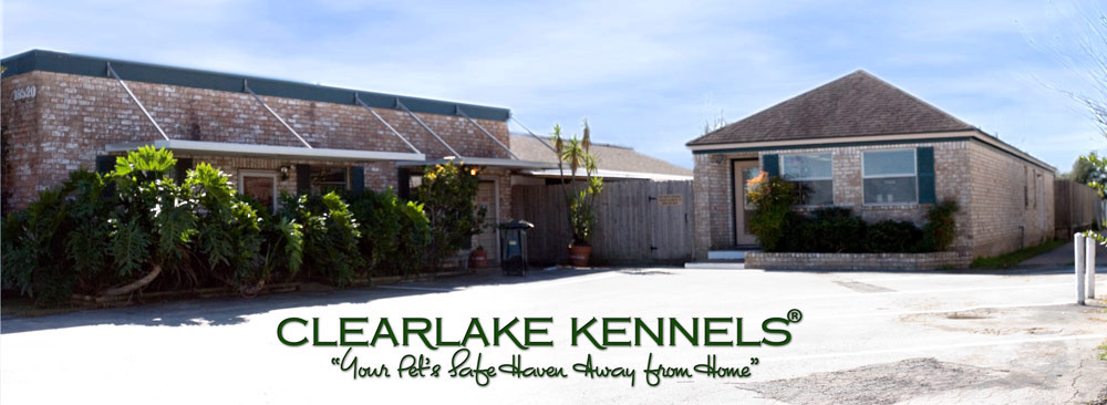 clearlake kennels01